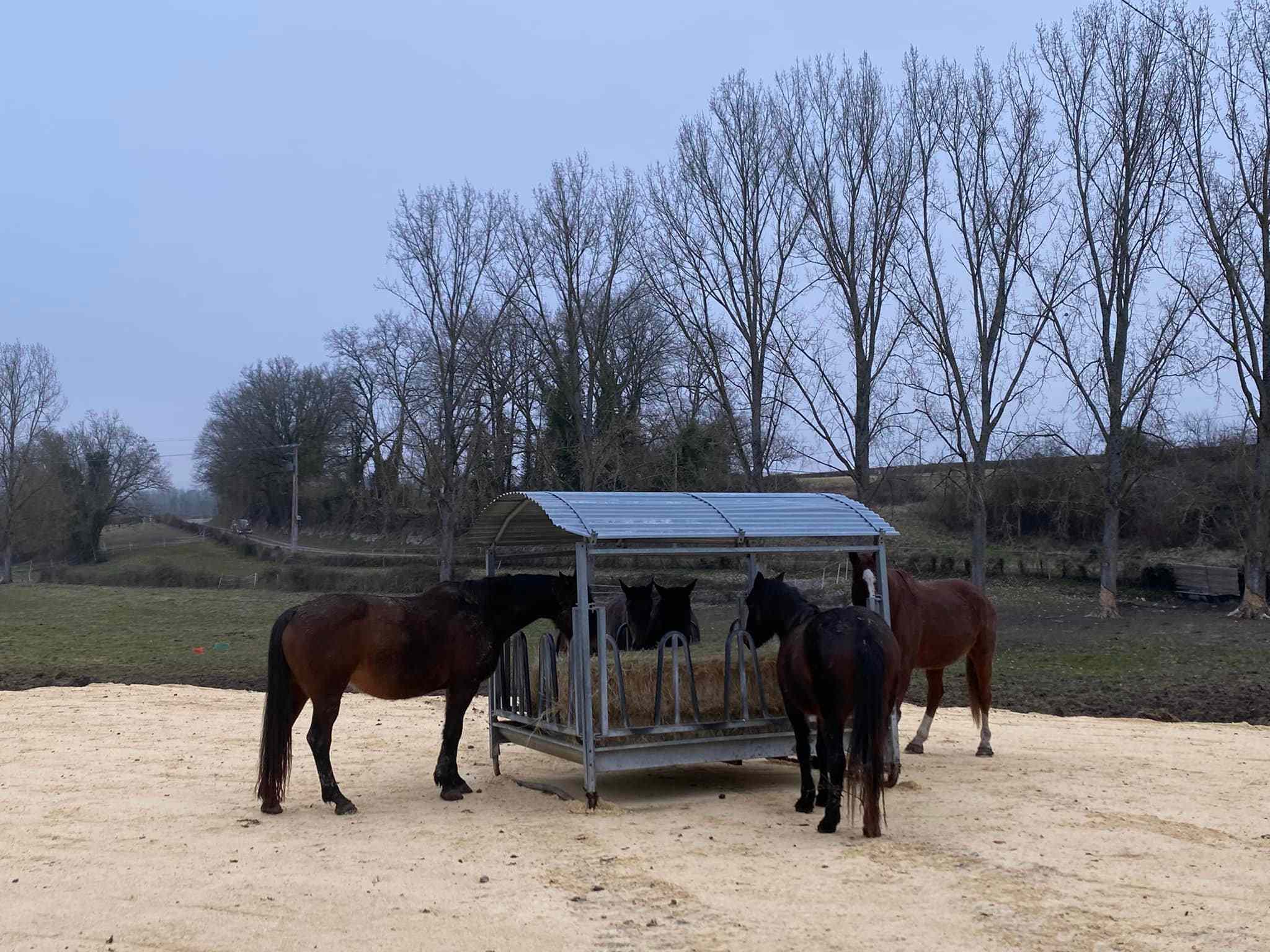 Pension pour chevaux près de Périgueux