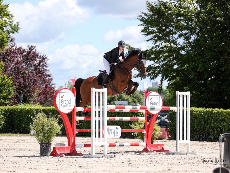 Pension pour chevaux près de Périgueux